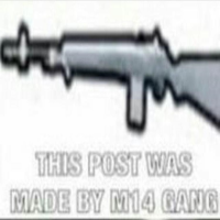 M14 Gang (M14)