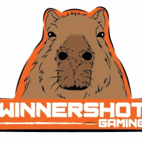 WinnerShot Gaming Academy (wS.)