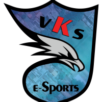 vKs eSports (vKs)
