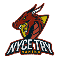 Nyce Try Gaming (Nyce Try Gaming)