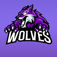 Wolves Team (-WT-)