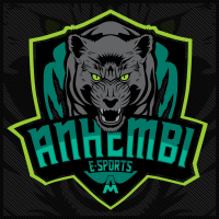Anhembi E-Sports (UAM)