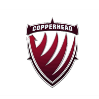 CopperHead E-sport (CH)