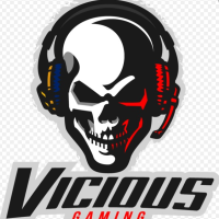 Vicious Team (vcS .-)