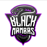 Black Mambas (BM)