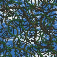Bramble Blast (Brambles)