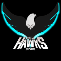 White Hawks E-sports (WHK)