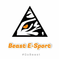 Beast E-sport (Beast|)