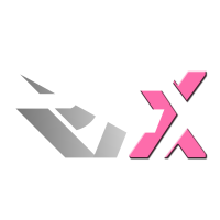 Racing Force X (RFX)