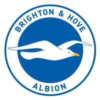 Brighton & Hove Albion Football (Brighton)
