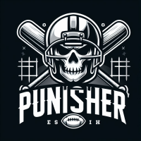 Punisher E-sports (PNR)