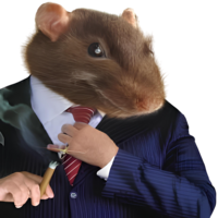 Rat&otilde;es do CS (RDCS)
