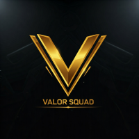 VALOR SQUAD (VS)