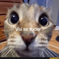 TROPA DOS CRLH VAI SE FUDER (CRLH)
