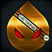 NETKING (NETK)