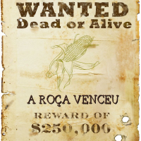 A RO&Ccedil;A VENCEU (WIN)