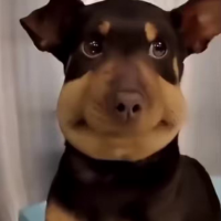 TUFO (TUFO)