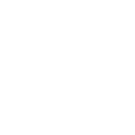 Not Like US (NLU)
