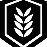 Agroplus E-sports (Agroplus)