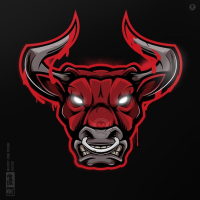 BLESSINgBULLS (BgB)