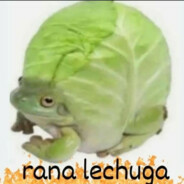 RANALECHUGA (RANA)