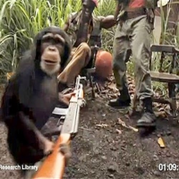 ZOOLOGICO (Zoo)
