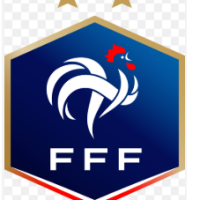 FRANCE FOOTBALL CS2 (FFF)