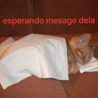 esperando mesage dela (zzz)