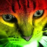 xxxxxxxxxxxxxxxx (xxt)