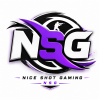 Nice Shot Gaming (NSG)