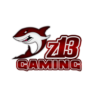 z13 Gaming (z13)