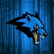 Wolf E-sport (Wolf)