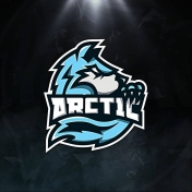 Arctic E-sports (Arctic E-Sports)