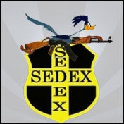 e-SEDEX (eSX)