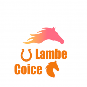 Lambe-Coice E-Sports (LCES)