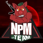 NPM (NPM)