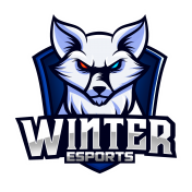 Winter eSports (WeS)