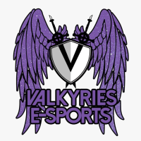 VALKYRIES (VALKYRIES_)