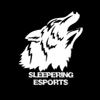 Sleepering Esports (SLPE)