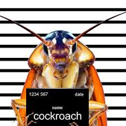 cockroach csgo (ckrch young guns)