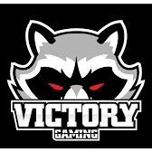 Victory Gaming (VG)